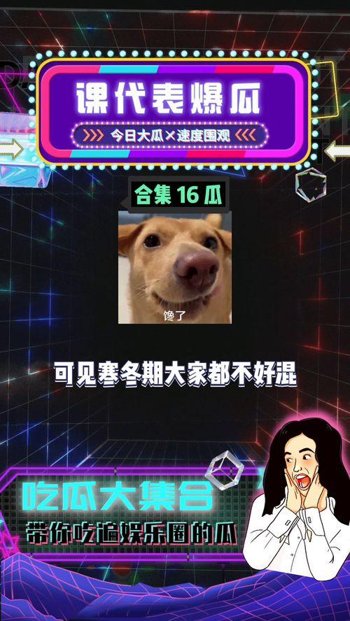 吃瓜娱乐BGM,打造专属你的休闲时光