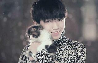 吃瓜八卦娱乐圈陈哲远,娱乐圈吃瓜达人，揭秘明星幕后故事