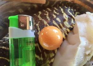 海螺八卦,揭秘神秘海域的传奇故事