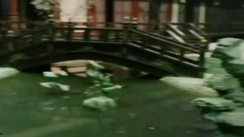 东宫路透花絮,幕后精彩瞬间大揭秘